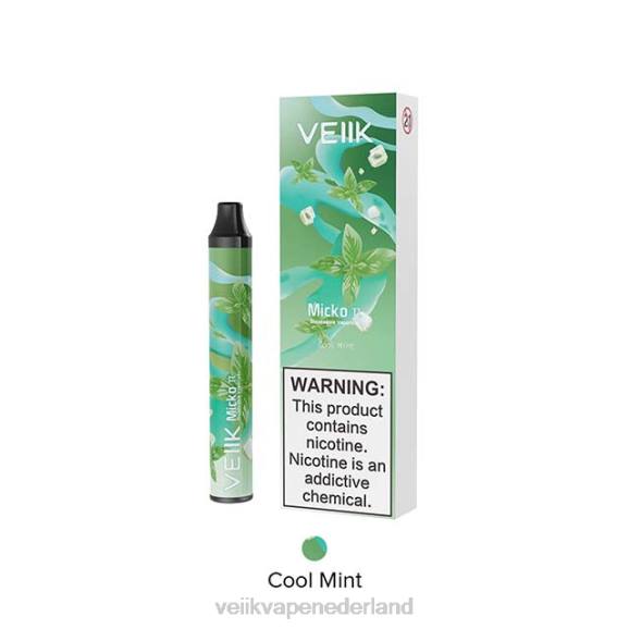 VEIIK Micko Pie wegwerpvape 600 trekjes frisse munt - VEIIK vape price R46H22